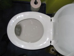 toiletshelf2
