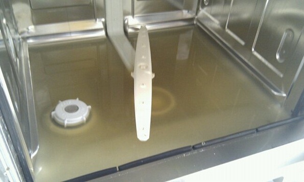 Flooded Dishwaser