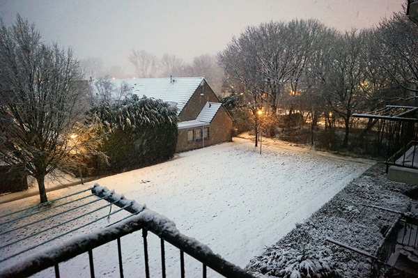 Rotterdam Snow